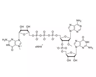 Shanghai Kezx Biotechnology Co, Ltd